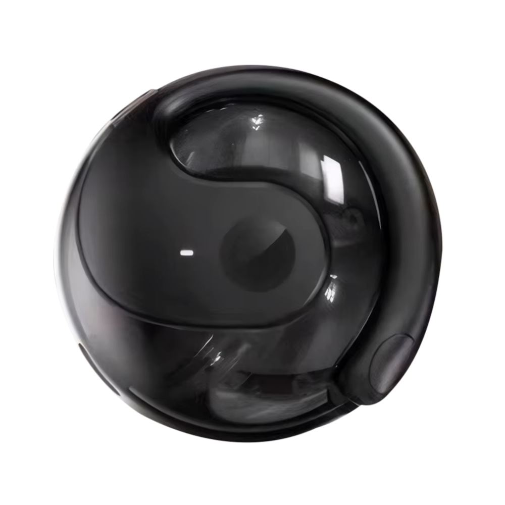 Auricolari wireless per traduzione