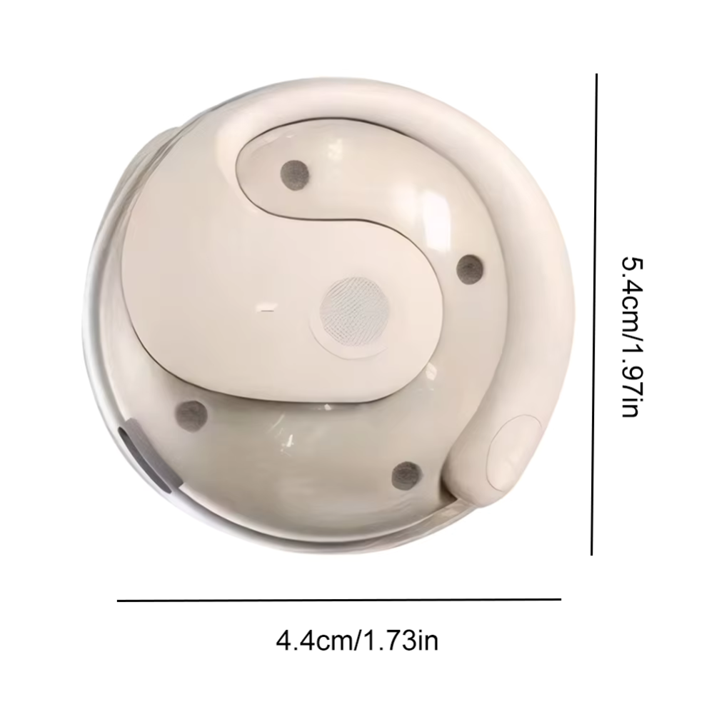 Auricolari wireless per traduzione
