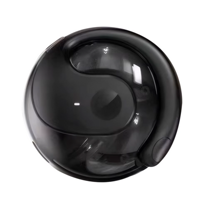 Auricolari wireless per traduzione