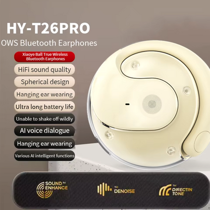 Auricolari wireless per traduzione